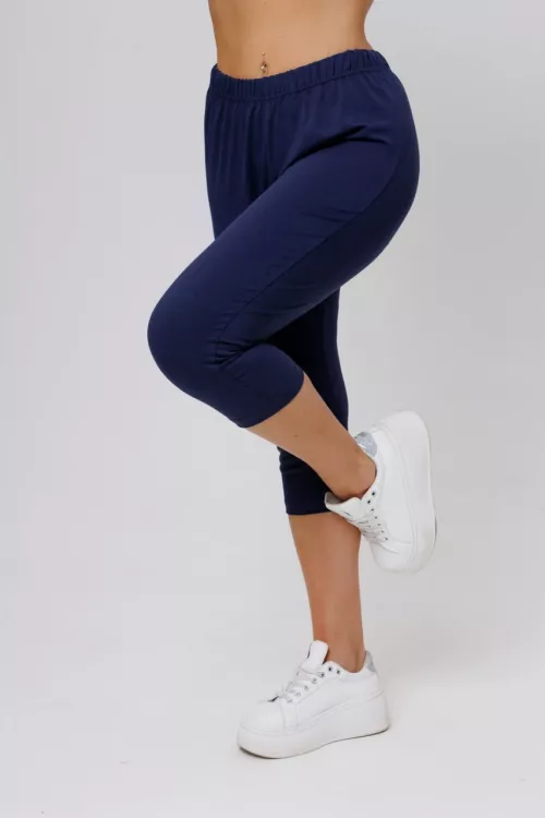 № 2023/1 Бриджи MAX