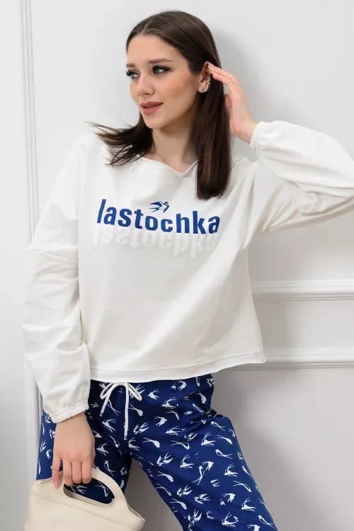 Толстовка Ласточка