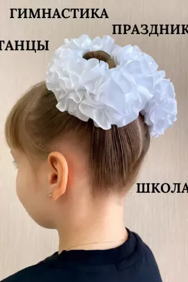 60213 Резинка для волос