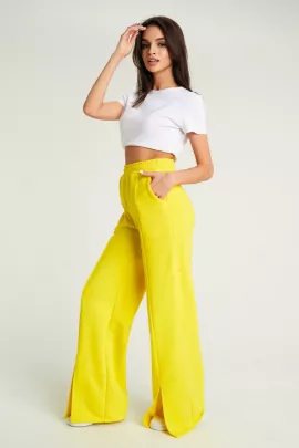 Брюки женские 492034