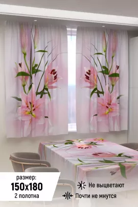 Фотошторы для кухни 10862